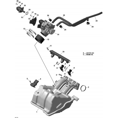 02- Air Intake Manifold And Throttle Body