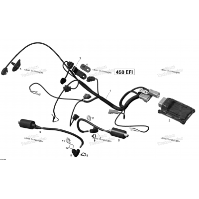 Engine Harness And Electronic Module