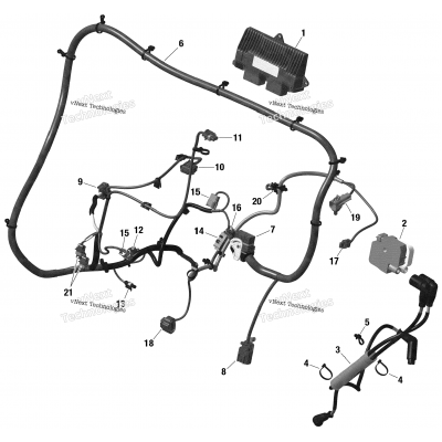 Rotax - Engine Harness And Electronic Module