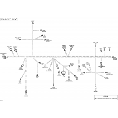 10- Electrical Harness - 800 E-TEC