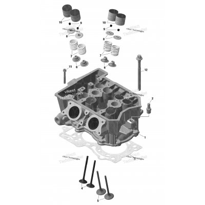 Engine - Cylinder Head