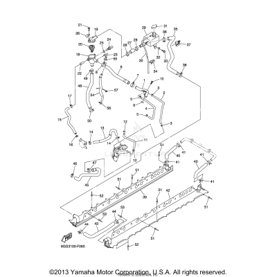 RADIATOR HOSE