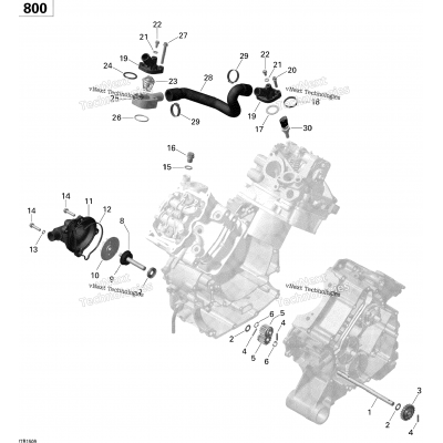 Engine Cooling