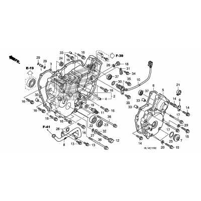 REAR CRANKCASE COVER