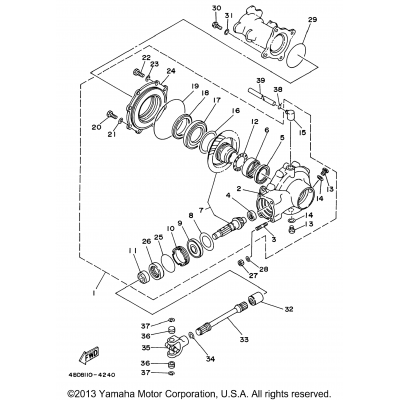 Drive Shaft