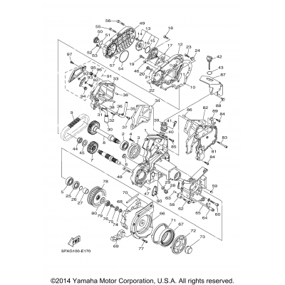 Middle Drive Gear