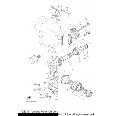 Middle Drive Gear