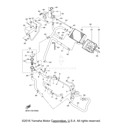 RADIATOR HOSE
