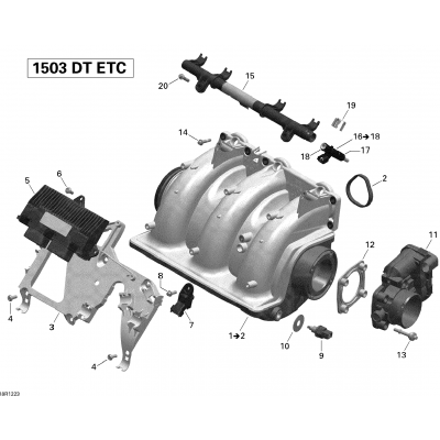 Air Intake Manifold And Throttle Body