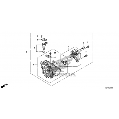 THROTTLE BODY