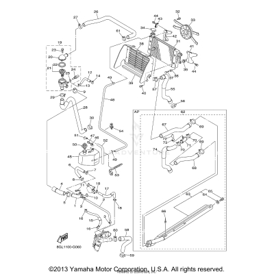 RADIATOR HOSE