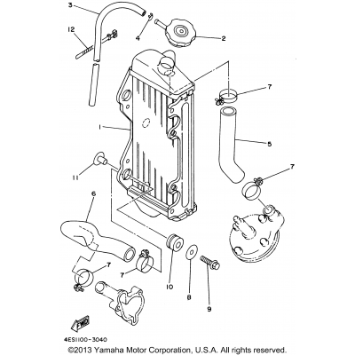 Radiator - Hose