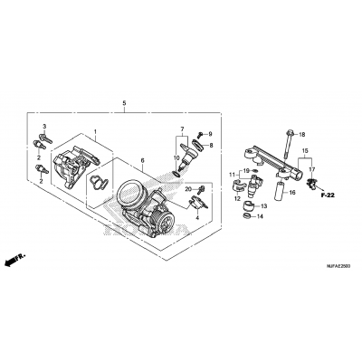 THROTTLE BODY