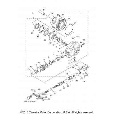 Drive Shaft