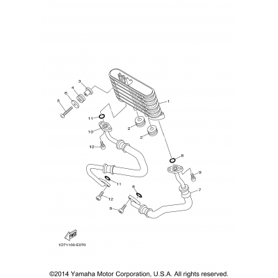 Middle Drive Gear