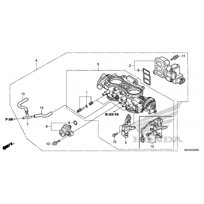 THROTTLE BODY