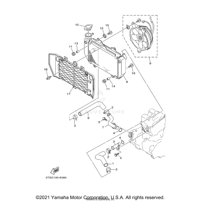 RADIATOR HOSE
