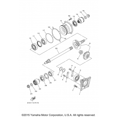 Middle Drive Gear