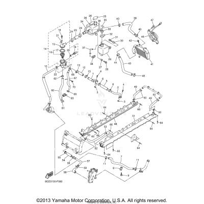 RADIATOR HOSE
