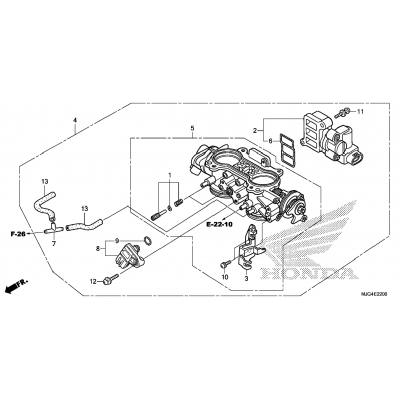 THROTTLE BODY