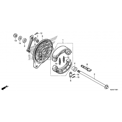 REAR BRAKE PANEL (2)