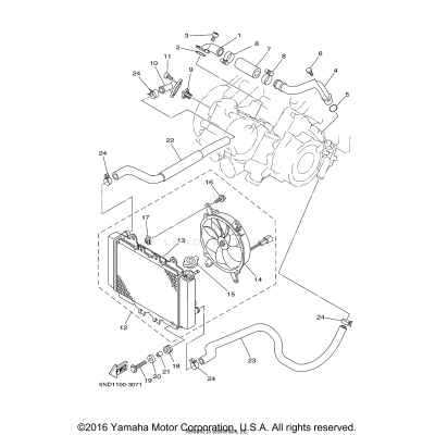 RADIATOR HOSE