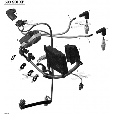 Engine Harness And Electronic Module