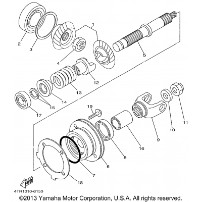 Middle Drive Gear