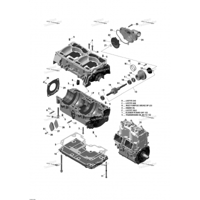 Crankcase And Water Pump - 800 E-Tec