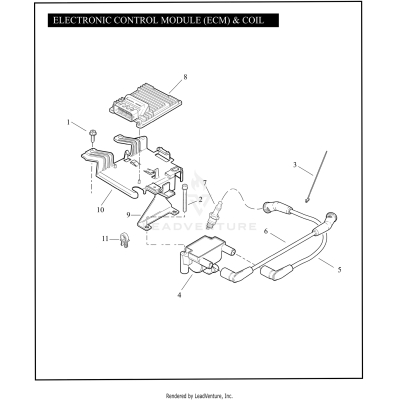 ELECTRONIC CONTROL MODULE (ECM) & COIL