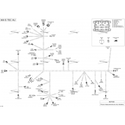 Electrical Harness - 800 E-Tec