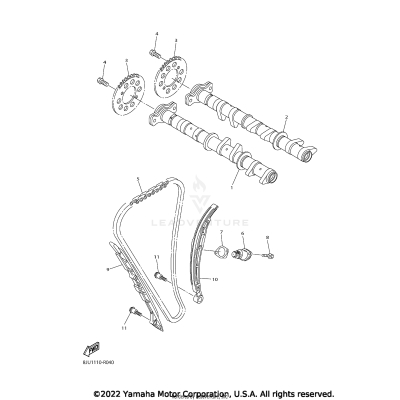 CAMSHAFT & CHAIN