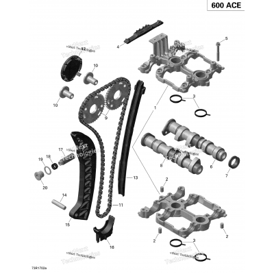 Camshafts And Timing Chain - 600 Ace
