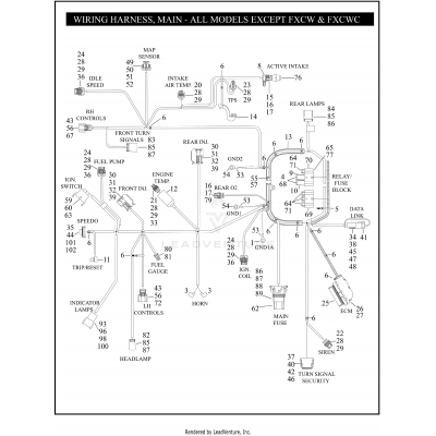 WIRING HARNESS, MAIN - ALL MODELS EXCEPT FXCW/FXCWC