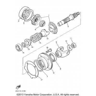 Middle Drive Gear