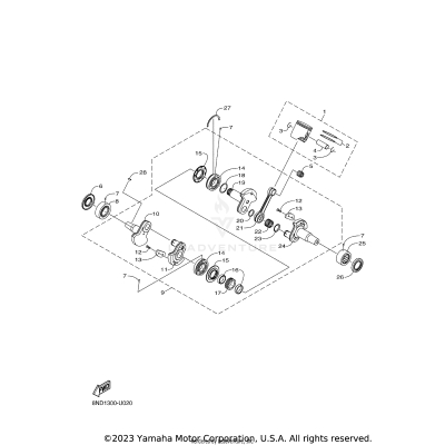 CRANKSHAFT PISTON