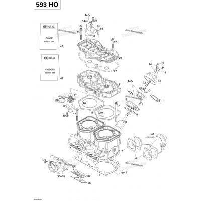 Cylinder, Exhaust Manifold, Reed Valve (593 Ho)