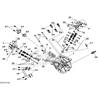 Cylinder Head And Valve