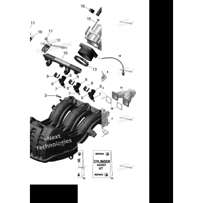 Cylinder And Cylinder Head - 800 E-Tec