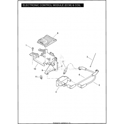 ELECTRONIC CONTROL MODULE (ECM) & COIL