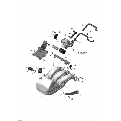 02- Air Intake Manifold And Throttle Body