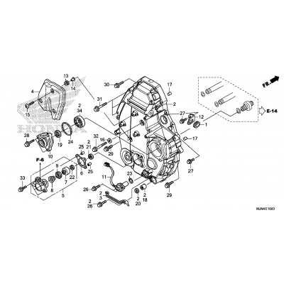 REAR CRANKCASE COVER