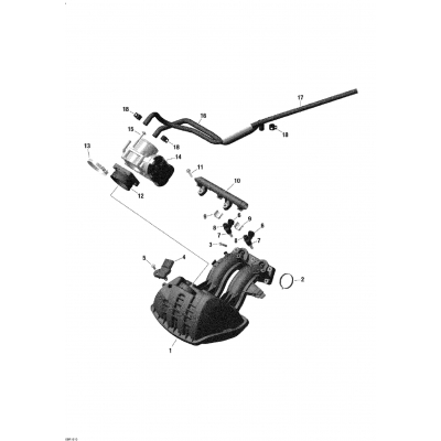 02- Air Intake Manifold And Throttle Body - 600 ACE