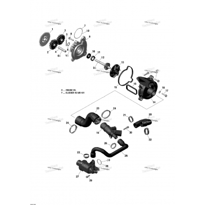 Engine Cooling