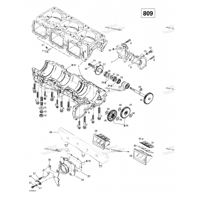 Crankcase, Reed Valve, Water Pump (809)
