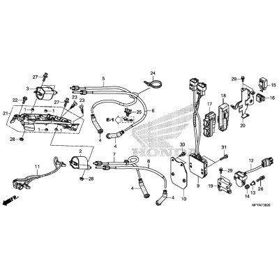 IGNITION COIL / ECU