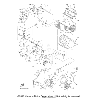 RADIATOR HOSE