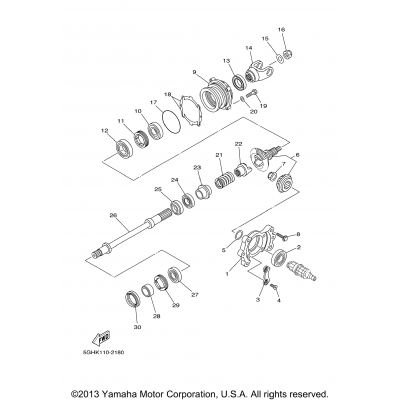 Middle Drive Gear