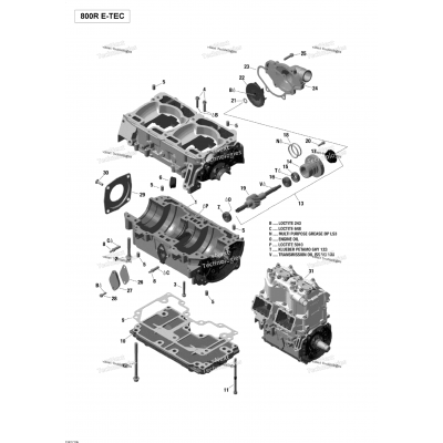 Crankcase And Water Pump - 800R E-Tec