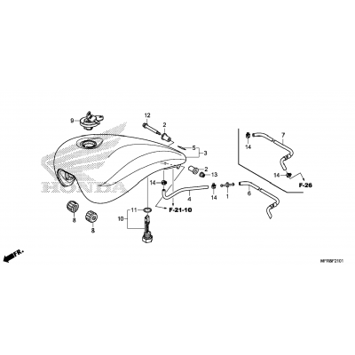 FUEL TANK (2)